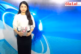 Gia Lai 48h: Đưa sản phẩm Chè Bầu Cạn ra thế giới