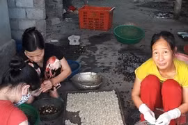 Chuyện thời sự ở nông thôn: Bài 2-Nỗi buồn của vùng quê chị Dậu