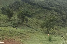 Xe tải lao xuống vực, tài xế tử vong