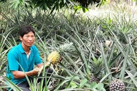 Khởi nghiệp bằng hướng đi "không đụng hàng"