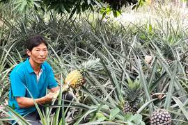 Khởi nghiệp bằng hướng đi "không đụng hàng"