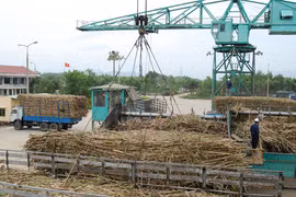 Ngành mía đường: "Phải tự cứu mình trước khi trời cứu"