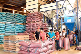 Triển khai Bộ chỉ số DDCI: Đòn bẩy năng lực cạnh tranh