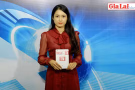 Gia Lai 48h: Nỗ lực khống chế dịch tả heo châu Phi