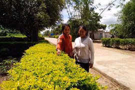 Phụ nữ Đak Pơ chung tay vì môi trường