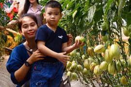 Đà Lạt thu hút du khách bằng các mô hình du lịch canh nông