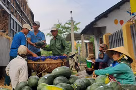 Trung Quốc "làm khó", xuất khẩu rau quả vẫn lấy lại "phong độ"