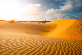 Khám phá "sa mạc ở Việt Nam"