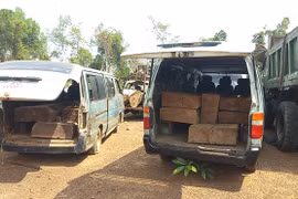 Chủ tịch huyện thưởng nóng cho xã tham gia bắt gỗ lậu