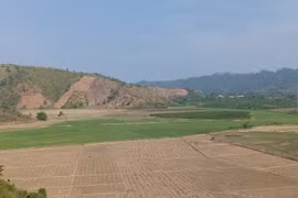 Đắk Nông: Nhiều diện tích cây trồng bị hạn do nắng kéo dài