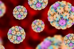 7điều ít ai biết rõ về HPV,căn bệnh TD phổ biến nhất hiện nay