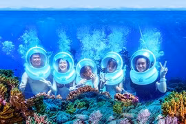 Trải nghiệm đi bộ dưới đáy biển ngắm san hô ở Phú Quốc