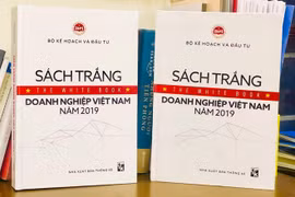 Lần đầu công bố Sách trắng doanh nghiệp Việt
