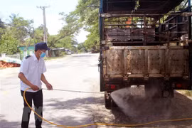 Dịch tả lợn châu Phi vẫn tiếp tục diễn biến phức tạp