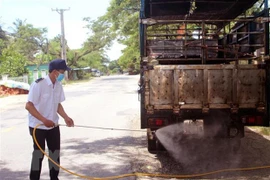 Dịch tả lợn châu Phi vẫn tiếp tục diễn biến phức tạp