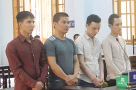 Nhóm tội phạm ma túy lãnh án