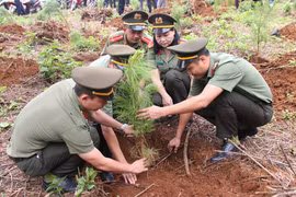 TP. Pleiku phát động trồng cây đời đời nhớ ơn Bác Hồ