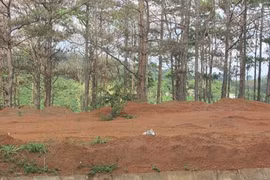 Đắk Nông: Cấp 1 sổ đỏ cho dân, 13 hộ khác... đi kiện