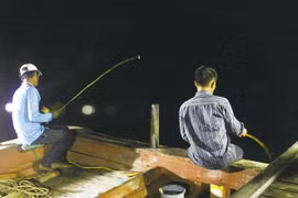 Nhọc nhằn đời câu mực