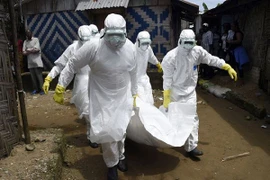 Dịch Ebola tái phát trong tình trạng báo động