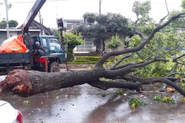 Bảo vệ môi trường, cảnh quan đô thị mùa mưa trên địa bàn TP. Pleiku