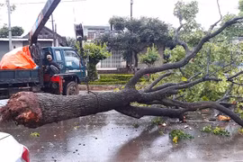 Bảo vệ môi trường, cảnh quan đô thị mùa mưa trên địa bàn TP. Pleiku