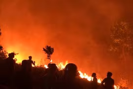 Gần 500 người trắng đêm chặn lửa tại núi Mào Gà