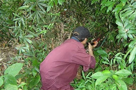 Khởi tố thợ săn bắn nhầm người vì tưởng thú rừng
