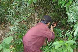 Khởi tố thợ săn bắn nhầm người vì tưởng thú rừng