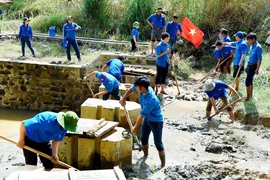 Chiến dịch tình nguyện Mùa hè xanh: Trải nghiệm và cống hiến