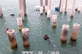 Tàu cổ đắm ở cảng Dung Quất chỉ có giá trị nghiên cứu khoa học