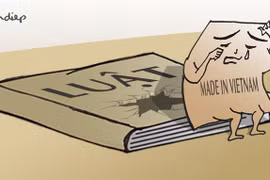 "Lỗ hổng" chí tử với doanh nghiệp và người tiêu dùng Việt!