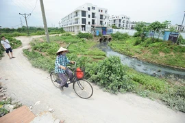 "Hôm qua vẫn con trâu, cái cày, hôm nay lập tức thành đô thị"