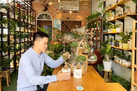 9X khởi nghiệp với cây xanh mi ni