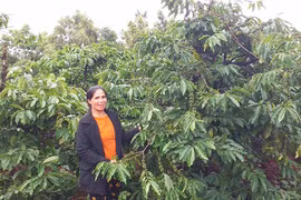 Ia Grai: Nỗ lực giúp dân thoát nghèo