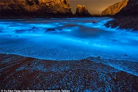 Vùng biển phát sáng ở Trung Quốc: Sự thật không như mơ