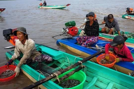 Những chuyện buồn ở xã nông thôn mới-Bài cuối: Ngậm ngùi và trăn trở