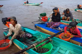 Những chuyện buồn ở xã nông thôn mới-Bài cuối: Ngậm ngùi và trăn trở