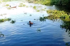 Một bé trai 9 tuổi bị nước cuốn mất tích