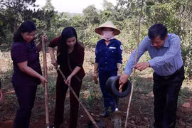 Phát động phong trào "Tết trồng cây đời đời nhớ ơn Bác Hồ"