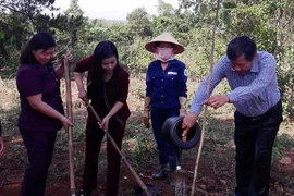 Phát động phong trào "Tết trồng cây đời đời nhớ ơn Bác Hồ"