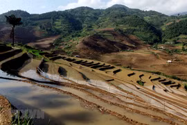 Lai Châu nhộn nhịp vào mùa nước đổ