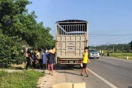 Bị tai nạn khi trên đường tới bệnh viện chờ sinh, thai phụ tử vong