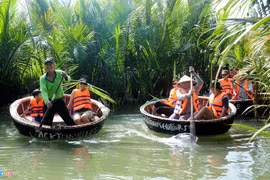 Trải nghiệm độc đáo xuyên rừng dừa nước giữa phố cổ Hội An