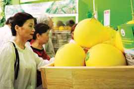 HNG sẽ đầu tư thêm nghìn tỷ đồng vào mảng trái cây