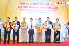 Tiếp tục tăng cường hợp tác, hỗ trợ đầu tư