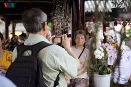 Đặc sắc phong lan 3 miền hội tụ tại Festival Huế 2018