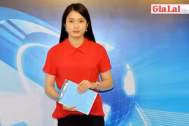 Gia Lai 48h: Đẩy nhanh tiến độ sắp xếp, đổi mới công ty nông-lâm nghiệp