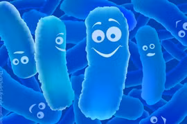 Khi nào nên bổ sung men vi sinh cho cơ thể