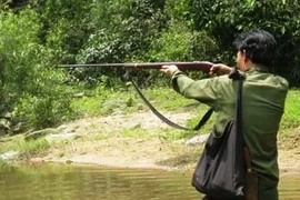 Vô tình lọt vào họng súng bắn chim, một người đàn ông chết oan